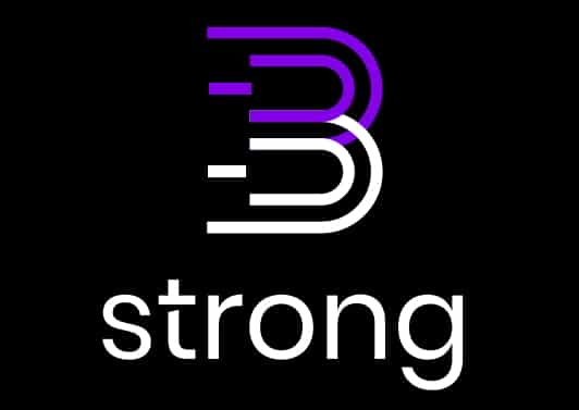 Logo de la société B-Strong conseil et référencement web