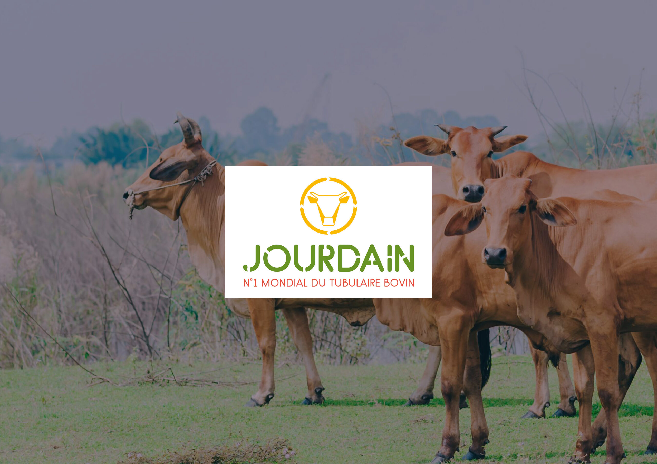 Interview Groupe Jourdain avec Thierry GRAVRAND