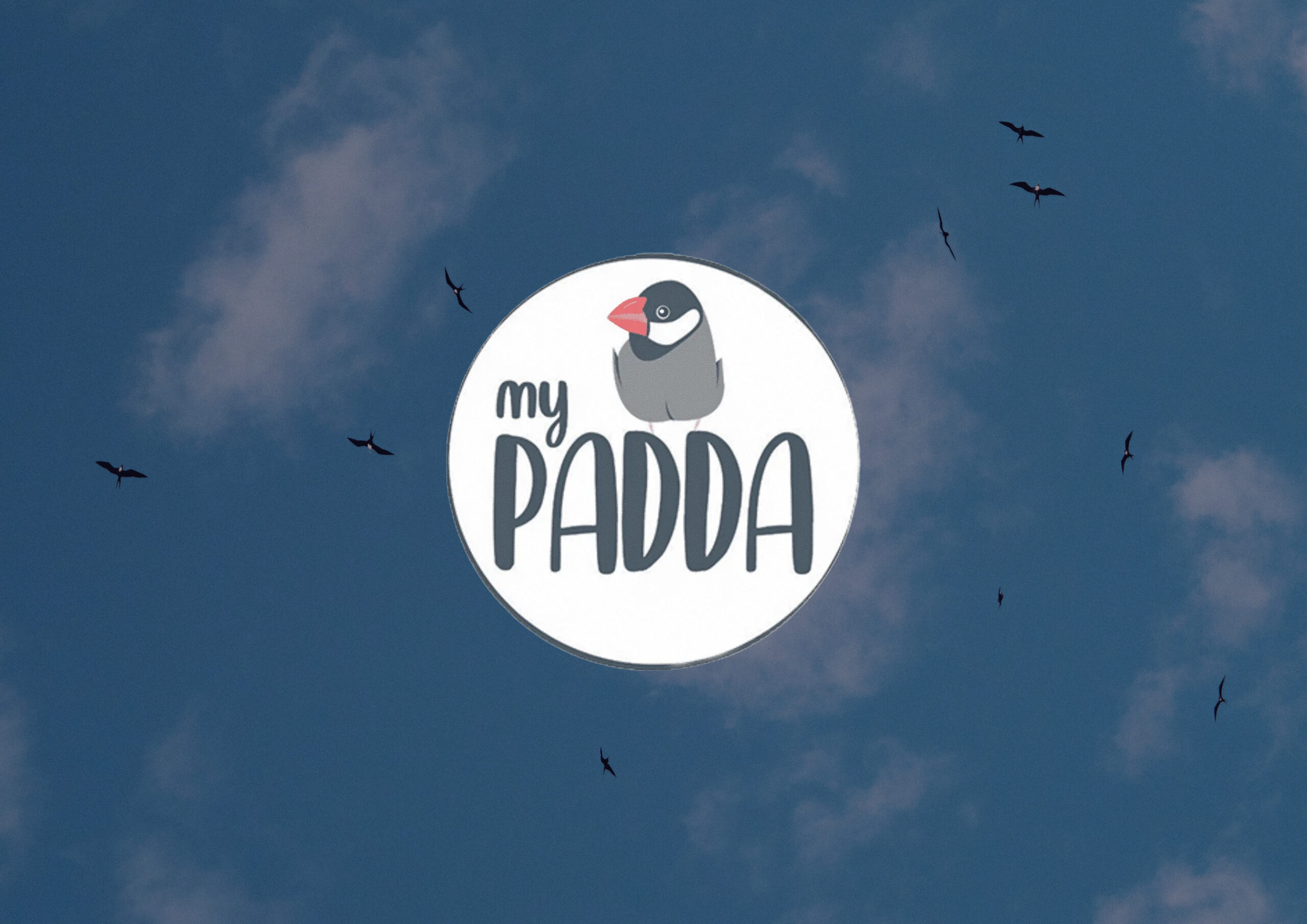 Interview : My Padda avec Clémentine SANCHEZ