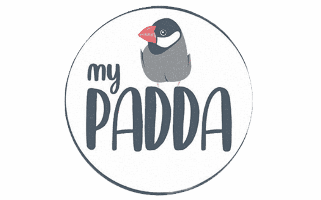 Logo-My-Padda-1080x675-1 logo my padda
